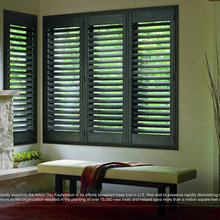 Shades/Window Coverings