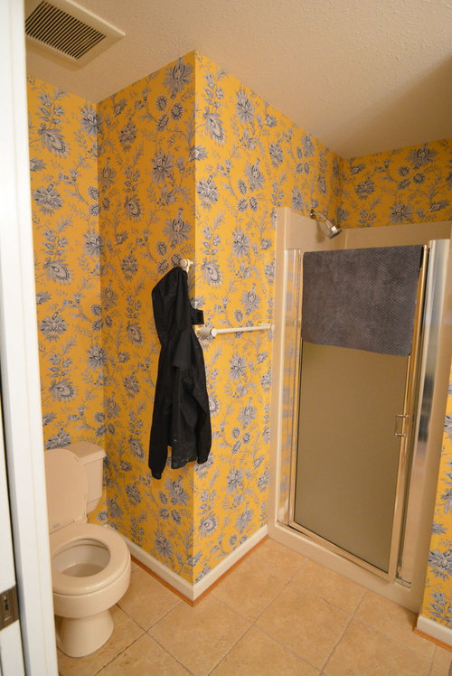 Remodeled Spare Bathroom