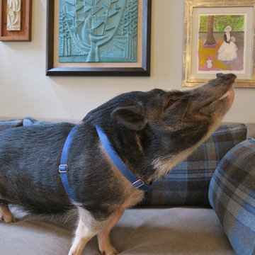 Family pet