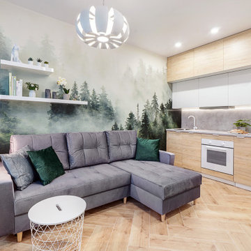 A small apartment for rent