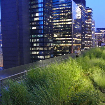 2015 Garden Dialogues: Manhattan, Midtown Sky Garden, June 20