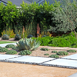 サンルイスオビスポの大きいモダンスタイルのおしゃれな裏庭のテラス (パーゴラ、壁面緑化、真砂土舗装) の写真