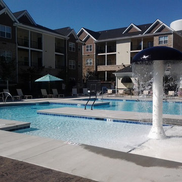 A pool with many features: beach entry, mushroom, basketball, volleyball, lap sw