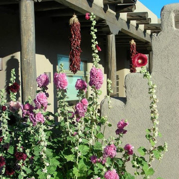 Southwestern Landscapes