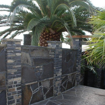 Coastal Palm Garden