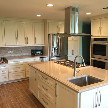Large Mount Prospect Remodel