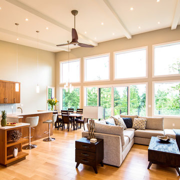 Mid Century Modern, New Build