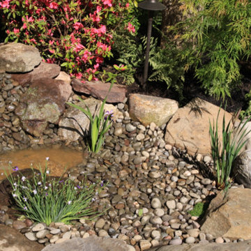 Pondless Waterfall - Landscape