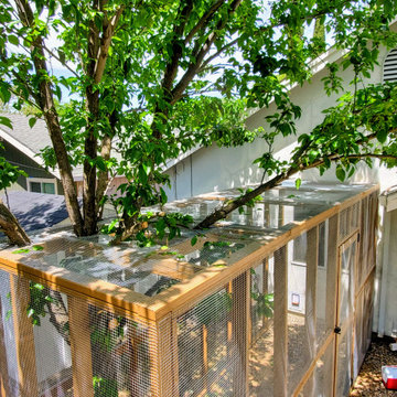 Custom Catio (Cat Patio)