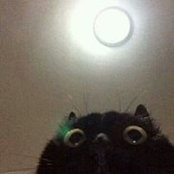 Mert Caner's photo