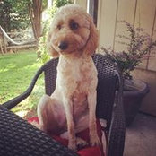 April Regler's photo