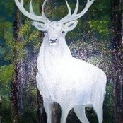 Wayne Hart's photo