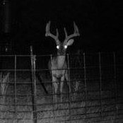 Robert Lane's photo