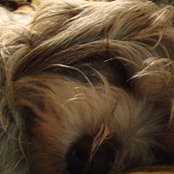 Claudia Bemiss foto