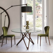 IQ Furniture's photo