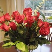 Jane Hitz's photo