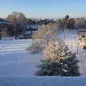 Lucy Druesne's photo