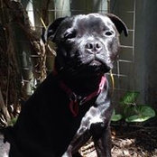 Colleen Flint's photo