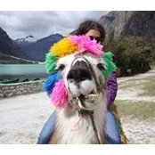 Julie Bahna's photo