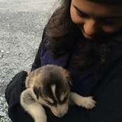 Photo de Ankita Akerkar