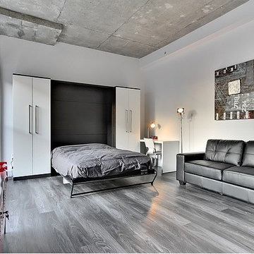 Vertical wall bed | Lits escamotables verticaux