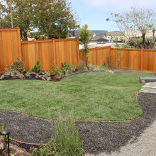 MY TOP 10 YARD/LANDSCAPING