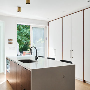 Rosedale Modern Whole Home Renovation