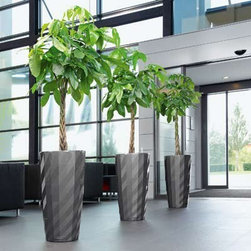 Modern Planter - Products