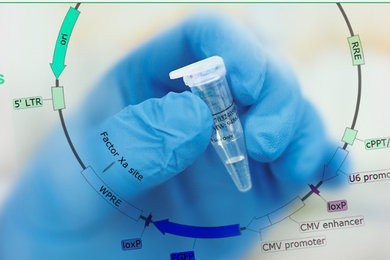 Synthetic Biology