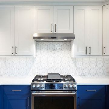 Oak Park Kitchen Renovation