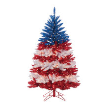 Patriotic Items