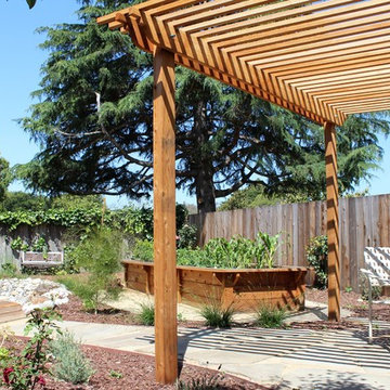 Super Sunny Multi-Use Backyard