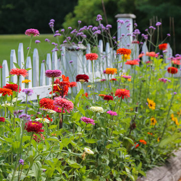 Raised Garden Beds + Fine Gardening