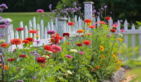 How to Design Your Yard for More Meaning and Connection