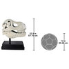 T-Rex Dinosaur Skull Fossil Statue on Museum Mount