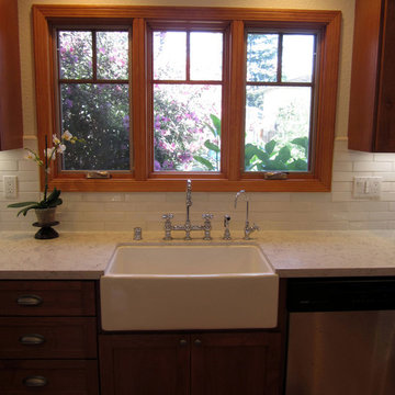 A New Focus - In Willow Glen