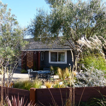 Contemporary Front Yard