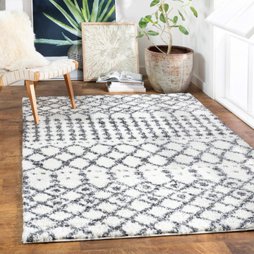 Deluxe Shag DXS-2314 Area Rug