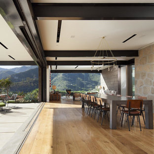 サンタバーバラのコンテンポラリースタイルのLDKの画像 (標準型暖炉、石材の暖炉まわり)