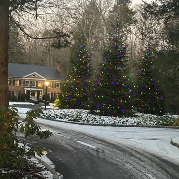Christmas Decorations and Outdoor Lights
