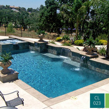 Pool/Landscaping