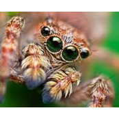Cindy Bednar's photo