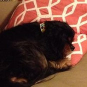 Cindy Parrett's photo
