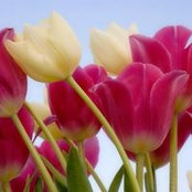 Sally Acosta's photo