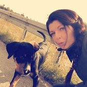 Moni Schmidt's photo