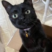 Sandi Arndt's photo