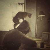 Alessandro Funaro's photo