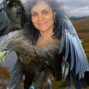 Ferdane Alidemi Bajrami's photo