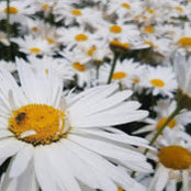 Eliska Davis's photo