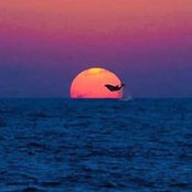 Jill Singer's photo